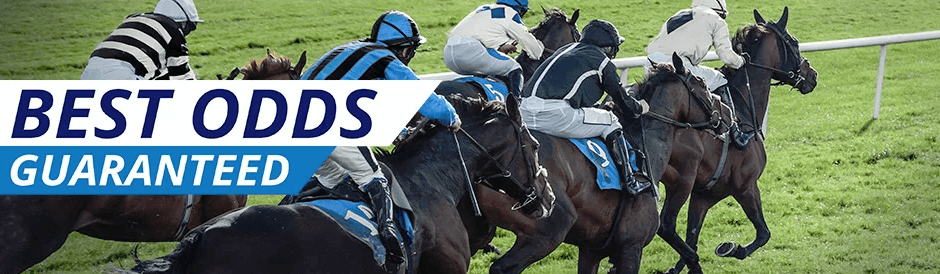 Sportingbet best odds guaranteed banner